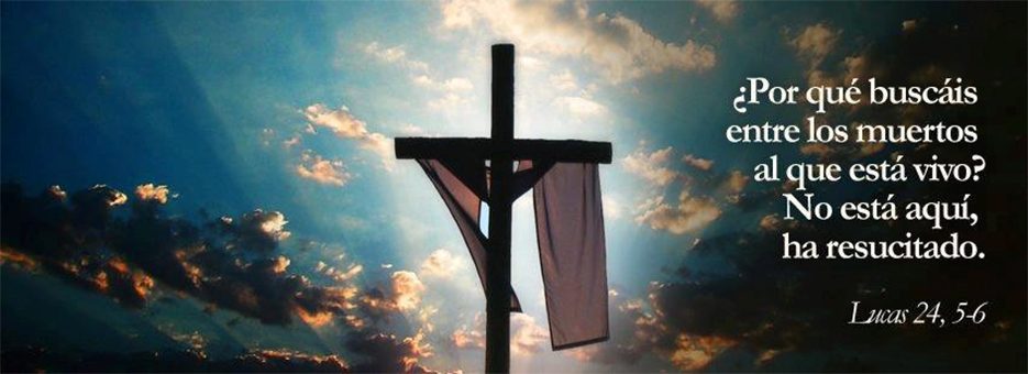 Mons. Prevost: 