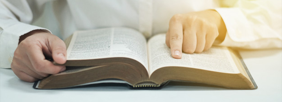 Facultad Redemptoris Mater organiza la “II Expobiblia” 