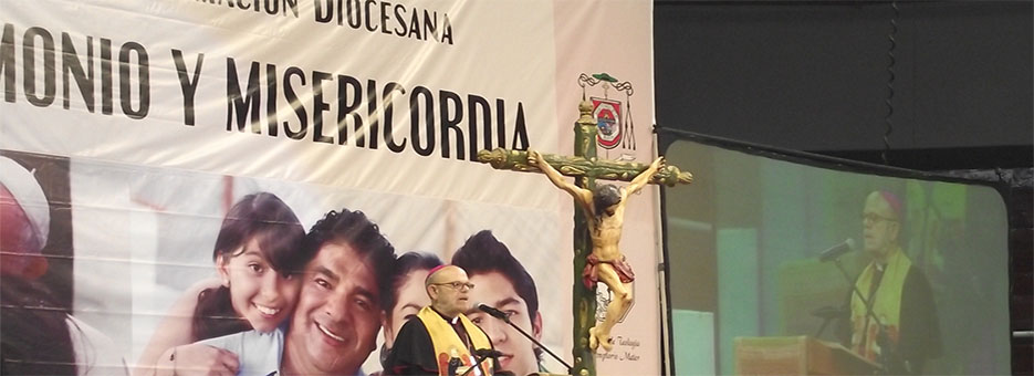 Jornada de formación diocesana “Matrimonio y Misericordia” ya está en DVD