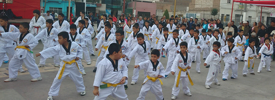 I.E.P “Junior César de los Ríos” obtiene título de campeones nacionales de Taekwondo