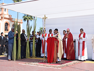 Domingo de Ramos 2019